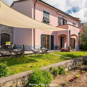 Niria, Terre Marine Volastra